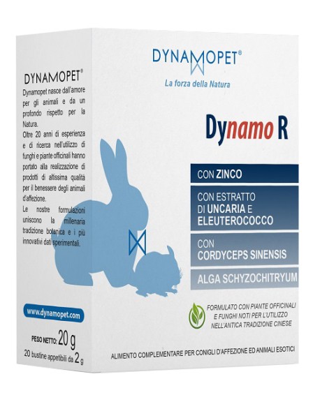 DYNAMO R 20BUST 2G