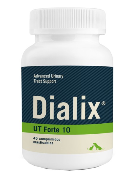 DIALIX UT FORTE 10 45CHEWS