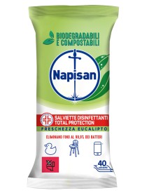 NAPISAN SALVIETTE EUCALIPT40PZ