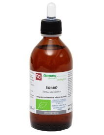 SORBO MG BIO 200ML