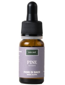 PINE GTT 10ML F BACH S/ALC (9310