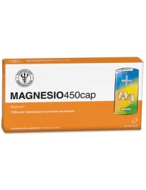 LFP MAGNESIO 450CAP 30CPS
