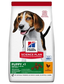 PUP HDEV MED CHK 12KG