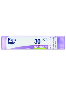 RANA BUFO 30CH GR BO