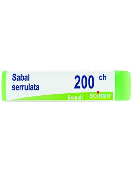 SABAL SERR 200CH GL BO