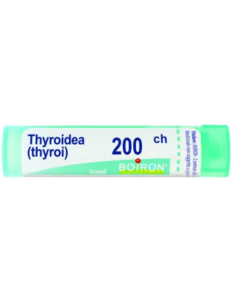 THYROIDINUM 200CH GR BO