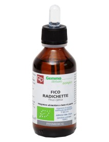 FICO RADIC BIO MG GTT 100ML FITO