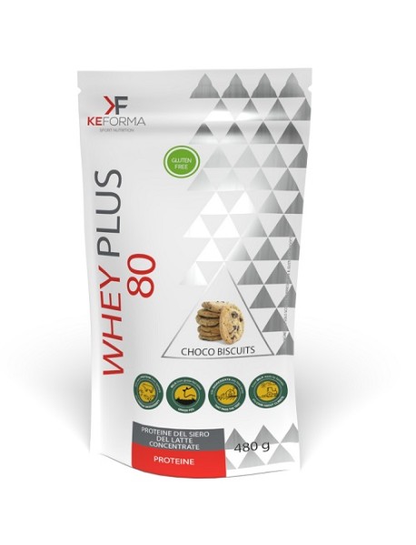 WHEY PLUS 80 CHOCO BISCUIT480G