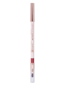 DEFENCE COLOR LIP DES MAT 209