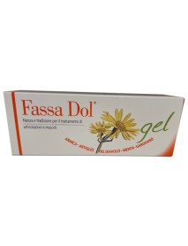 FASSA DOL CR/GEL 100ML N/F ARNIC