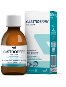 GASTROERRE 210ML