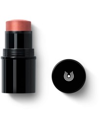 DR HAUSCHKA LIPTOCHEEK 01