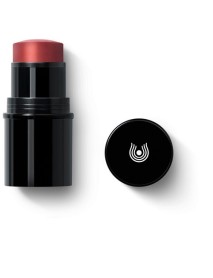 DR HAUSCHKA LIPTOCHEEK 02