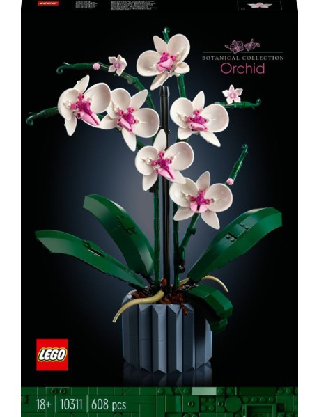 LEGO 10311 Orchidea