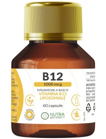 VITAMINA B12 1000MCG 60CPS