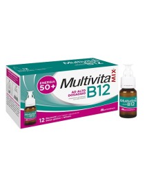 MULTIVITAMIX B12 12FL