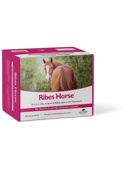 RIBES HORSE 30BUST