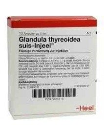 GLANDULA THYROIDEA SUIS INJEEL HEEL 10 FIALE 