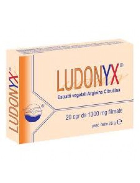 LUDONYX 20 COMPRESSE