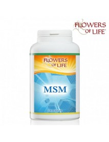 MSM 100 CAPSULE FLOWERS OF LIFE