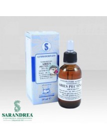 SARANDREA GEMMODERIVATO ABIES PECTINATA 100ML 