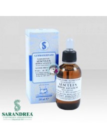 SARANDREA GEMMODERIVATO IPPOCASTANO AESCULUS HIPPOCASTANUS 100ML